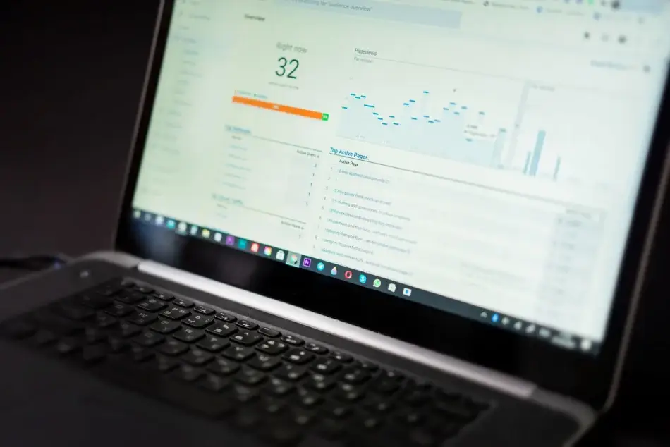 Specialist auditing a website on a laptop