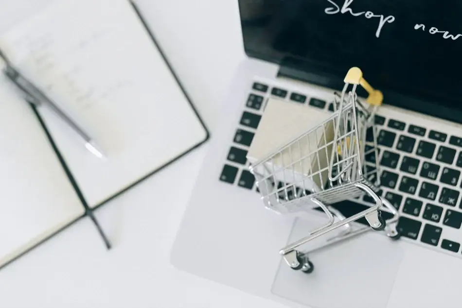Comparing e-commerce platforms for an online store