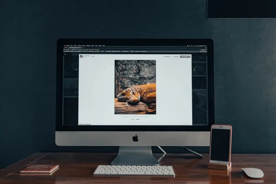 На дървено бюро стои iMac, на който се вижда снимка на оранжева гущерка — идеална за слайдър на началната страница; до него са поставени телефон и мишка.